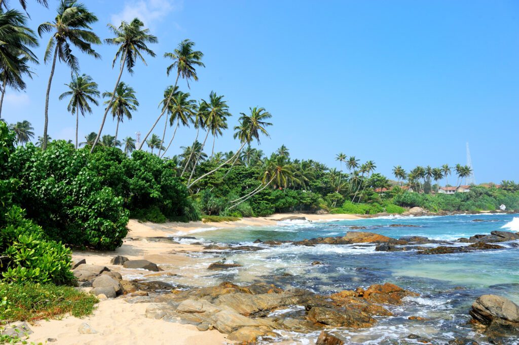 The Best Parks and Gardens to visit in Sri Lanka - Your Travel Scout